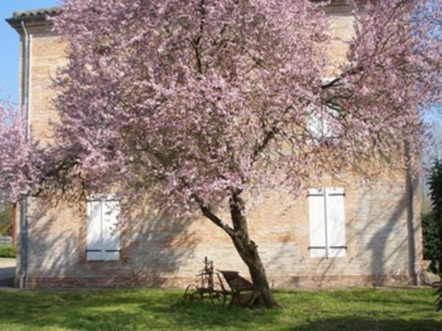 Lafrançaise Le Platane Bed & Breakfast エクステリア 写真